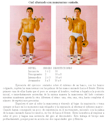 curl de biceps con mancuernas sentado o de <a href= curl de biceps con mancuernas sentado o de pie